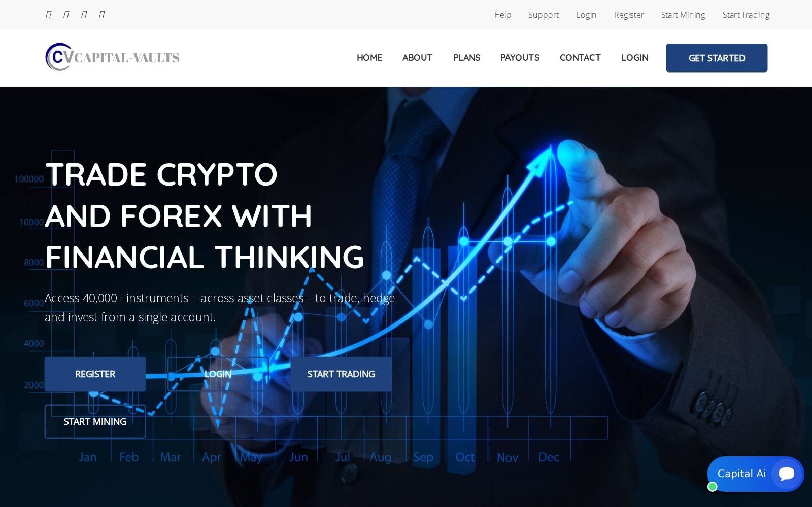 Screenshot of the Capital Vaults

Capital-Vaults.top website, captured 1 August 2026