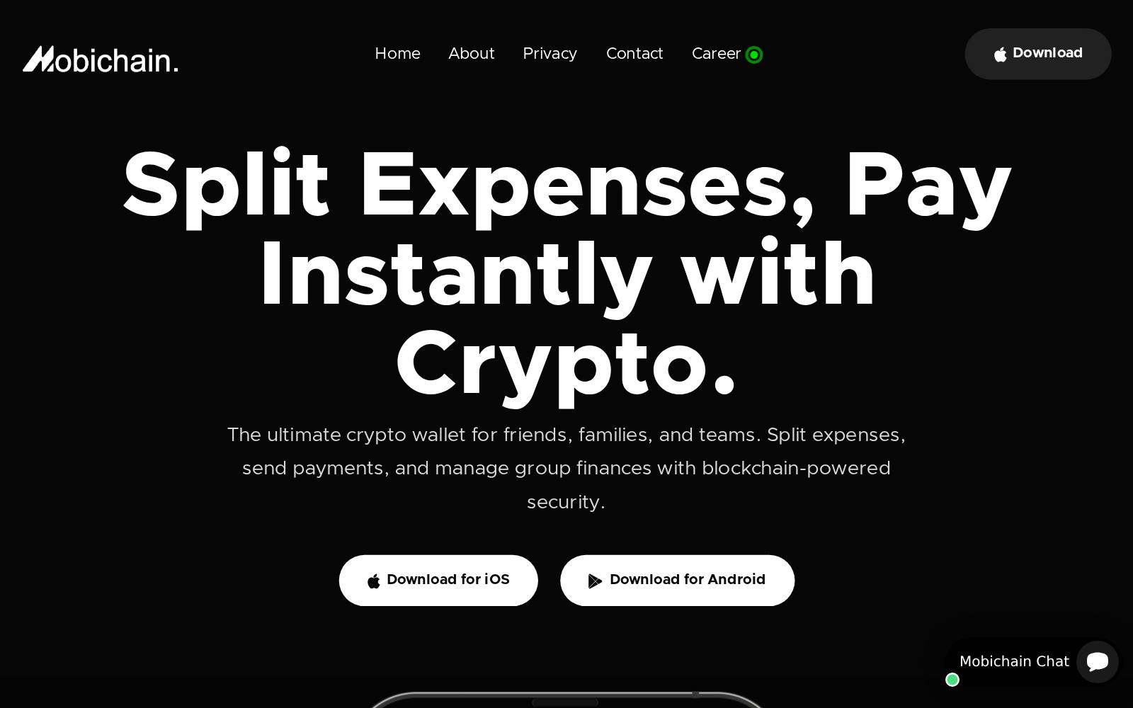 Screenshot of the Mobichain website, captured 24 July 2026