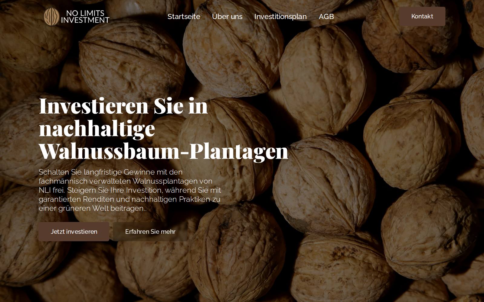 Screenshot of the NO LIMITS INVEST website, captured 12 August 2026