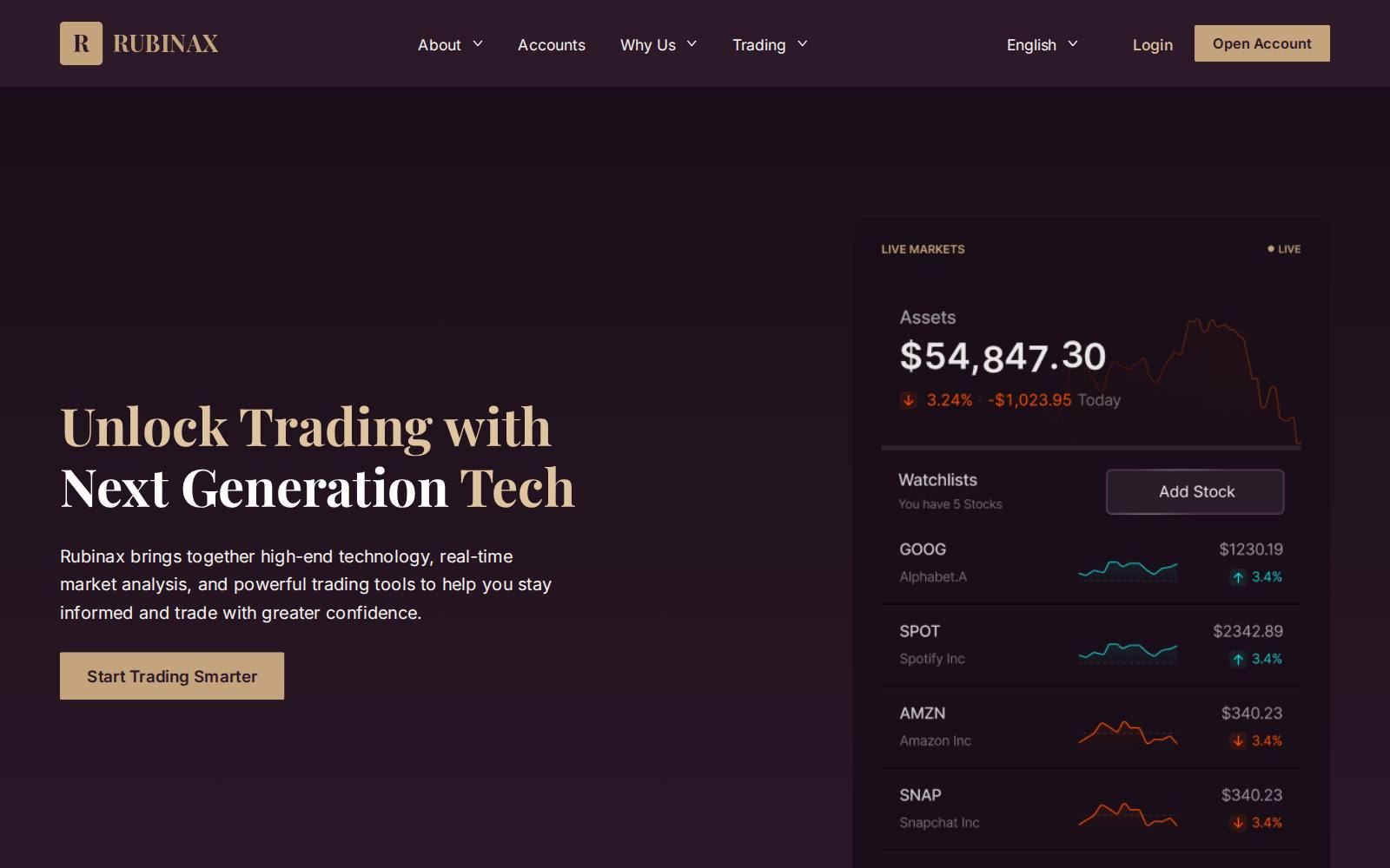 Screenshot of the Rubinax website, captured 29 July 2026